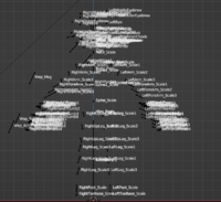 The rig of the Swat Zombie with the names for the bones.