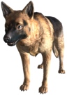 FO3DogDad.png