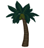 SMG-UnusedCoconutTree.png