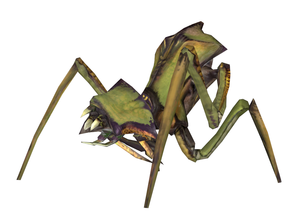 Hl2final antlion1.png