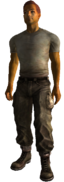 FONVVault11Survivor.png