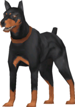 BullySE Doberman.png