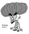 Crash Bandicoot Cortex-evolution 1-1.jpg