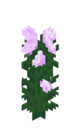 MC1.7-peony.png