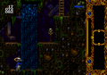 Blackthorne 32X Coordinates.png