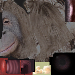 TSCS orangutan-facesilvery0 lifo 512x512.png