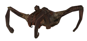 Hl2proto poisonheadcrab1.png