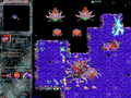 StarCraft-Prerelease-E3 1996 Zerg.png