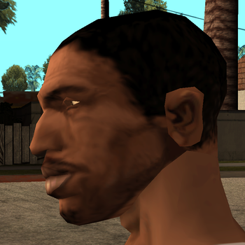 "head8bit" texture onto final CJ's head model, edited to it barely matches as properly as possible