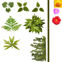 CSS flowerbed2 used.png