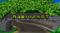 MKDD Final Yoshi Circuit Course.png