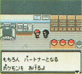 PKMN GS Flyer Screenshot 2.png