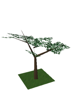 Lsd tree 1.png