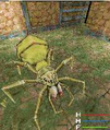 SK SixLegSpiderGame.png