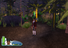 Sims2CastawayPS2-FIN FirstJungle-3.png