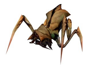 Hl2proto antlion1.png