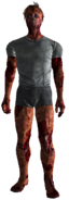 FO3Meat.png