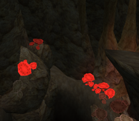 Jak TPL Oct 19 Mushrooms.png