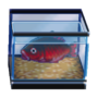 DSiQue Carp Furniture Model.png