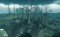 FO3tLandscape02.png