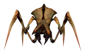 Hl2proto antlion2.png