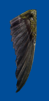 Lbp3 mw bird wing.png