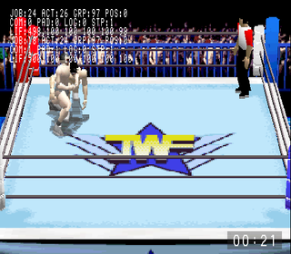 Pro Wrestling Sengokuden Debug Display.png