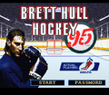 Brett Hull Hockey 95 SNES Title.png