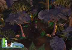 Sims2CastawayPS2-FIN FirstJungle-4.png