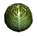 Bu cabbage.png