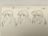 MMSS Rulue Expressions2.jpg