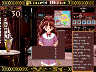 Princess Maker 2-Beta Shop.png