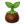 MSM DOF Seedling.png