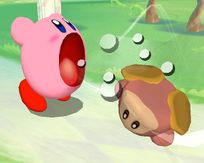 GCN Kirby Screenshot (14).jpg